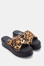 Animal Print