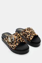 Animal Print