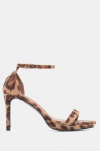 Stampa Animale
