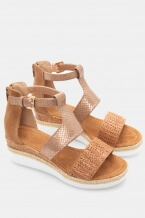 Camel
