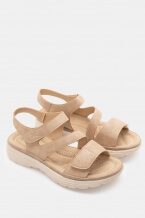 Beige-Dark