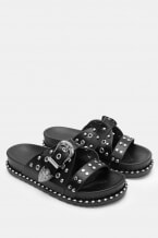 Negru