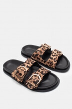 Animal Print