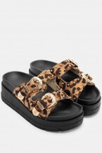 Animal Print