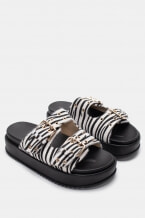 Zebra Black and White