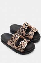 Print Animal
