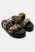 Animal Print