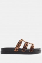Animal Print