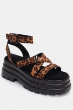 Animal Print